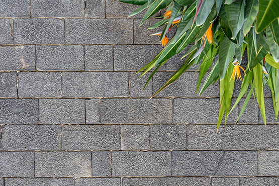 Rutland domestic professional cleaners